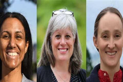 Understanding the Landscape of Council Candidates in Western Washington