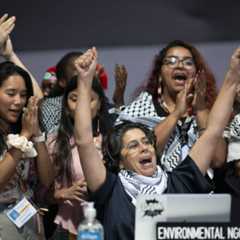 A just agricultural transition takes root in Brazil