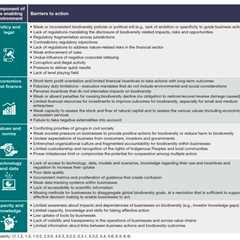 IPBES: Four key takeaways on how nature loss threatens the global economy