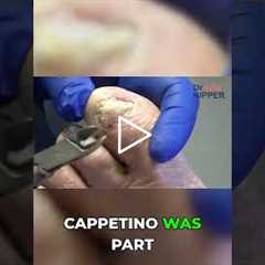 Hurricane Charlie vs. Cappetino Island Changes