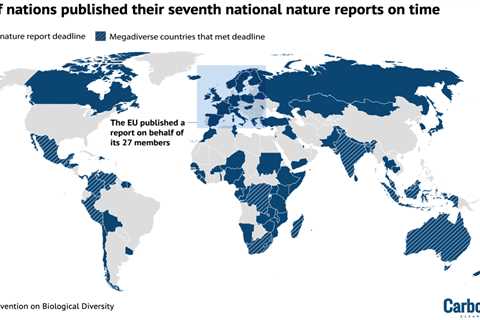 Analysis: Half of nations meet UN deadline for nature-loss reporting