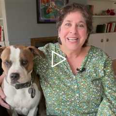 Week of Calluses for Members