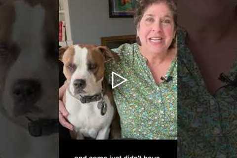 A Week of Calluses - Intro  #footcare #podiatry #drnailnipper