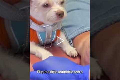 The Final Result A Perfect 1.8cm Crack | This Heel Crack Needs Close Monitoring 👣