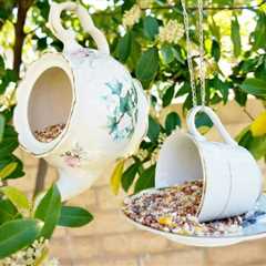 Outdoor Projects You Can DIY for Almost Nothing