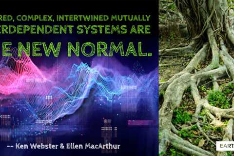 Earth911 Inspiration: Complex Is the New Normal