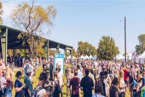 How Beer Events in Central Texas Prepare for Large Crowds and Outdoor Venues