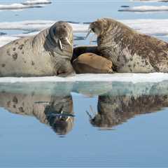 2026 Ocean Conservancy Photo Contest Winners