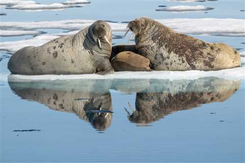 2026 Ocean Conservancy Photo Contest Winners