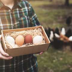 Chickenomics: The Economics of Backyard Chickens