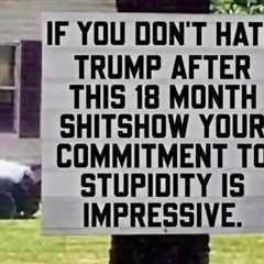 Impressive Levels of Stupidity
