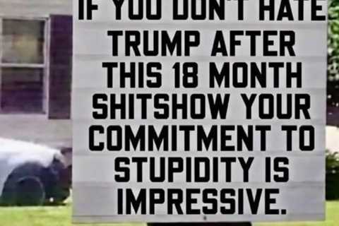 Impressive Levels of Stupidity